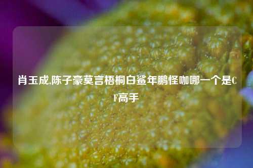 肖玉成,陈子豪莫言梧桐白鲨年鹏怪咖哪一个是CF高手