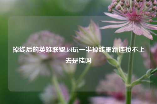 掉线后的英雄联盟,lol玩一半掉线重新连接不上去是挂吗