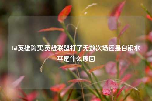 lol英雄购买,英雄联盟打了无数次场还是白银水平是什么原因