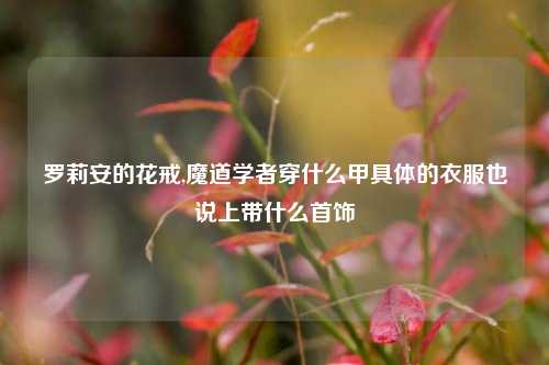 罗莉安的花戒,魔道学者穿什么甲具体的衣服也说上带什么首饰