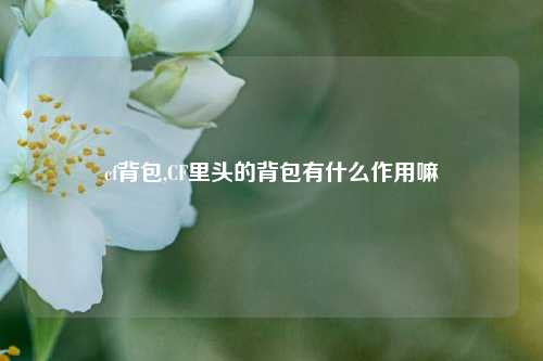 cf背包,CF里头的背包有什么作用嘛