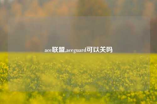 ace联盟,aceguard可以关吗