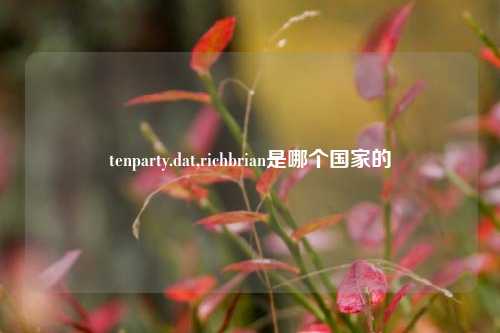 tenparty.dat,richbrian是哪个国家的