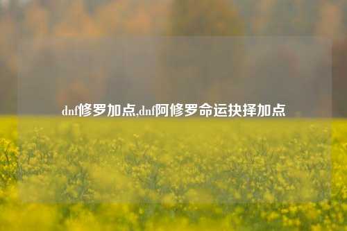 dnf修罗加点,dnf阿修罗命运抉择加点