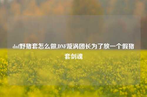 dnf野猪套怎么做,DNF漩涡团长为了放一个假猪套剑魂