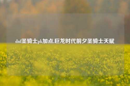 dnf圣骑士pk加点,巨龙时代前夕圣骑士天赋