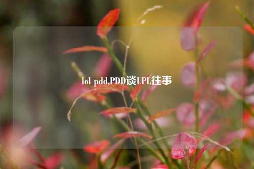 lol pdd,PDD谈LPL往事