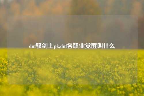 dnf驭剑士pk,dnf各职业觉醒叫什么