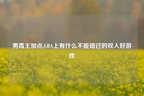 男毒王加点,GBA上有什么不能错过的双人好游戏