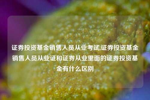 证券投资基金销售人员从业考试,证券投资基金销售人员从业证和证券从业里面的证券投资基金有什么区别