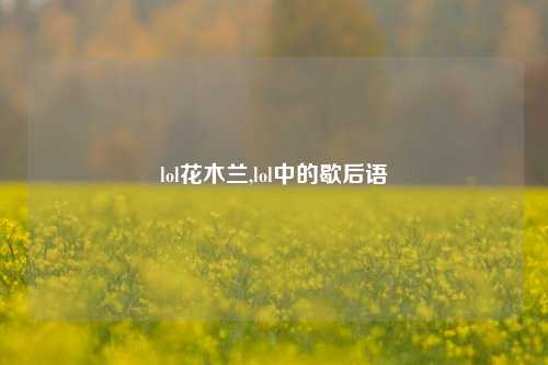 lol花木兰,lol中的歇后语