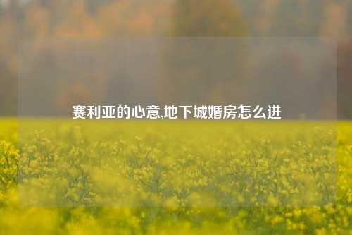 赛利亚的心意,地下城婚房怎么进