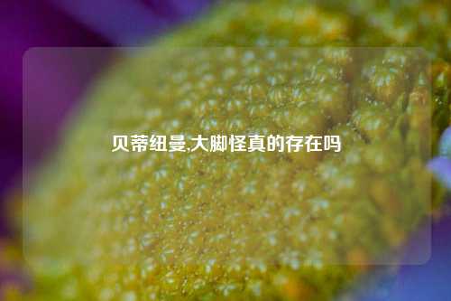 贝蒂纽曼,大脚怪真的存在吗