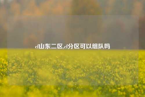 cf山东二区,cf分区可以组队吗