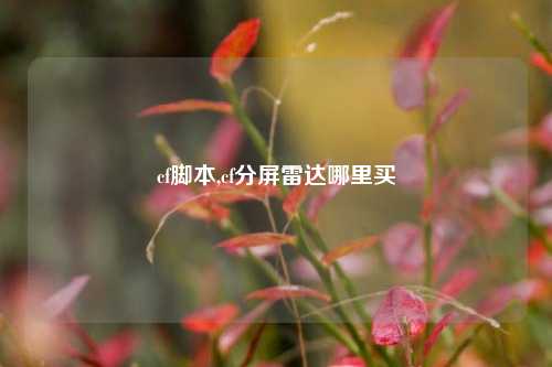 cf脚本,cf分屏雷达哪里买