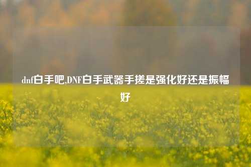 dnf白手吧,DNF白手武器手搓是强化好还是振幅好