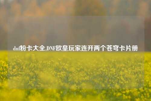 dnf粉卡大全,DNF欧皇玩家连开两个苍穹卡片册