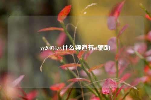 yy20074,yy什么频道有cf辅助