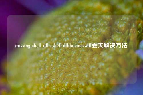 missing shell dll cshell.dll,businessdll丢失解决方法