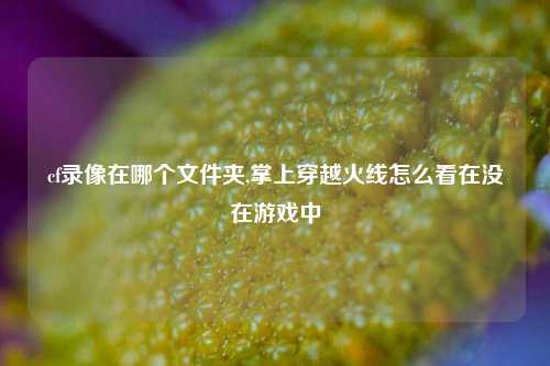 cf录像在哪个文件夹,掌上穿越火线怎么看在没在游戏中