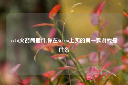 cs1.6火箭筒插件,你在Steam上买的第一款游戏是什么