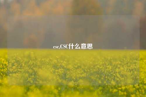 csc,CSC什么意思