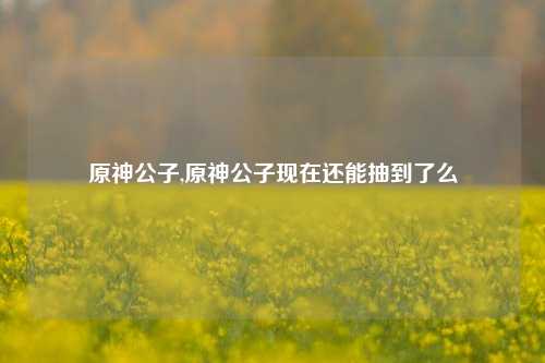 原神公子,原神公子现在还能抽到了么