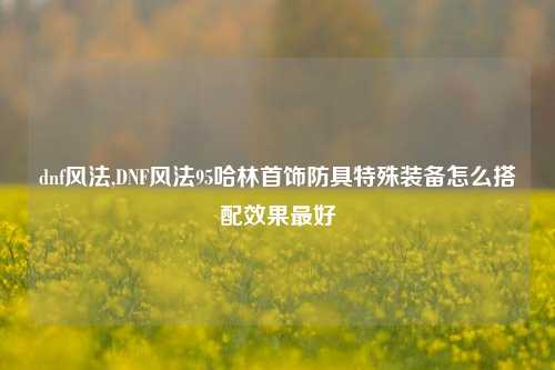 dnf风法,DNF风法95哈林首饰防具特殊装备怎么搭配效果最好