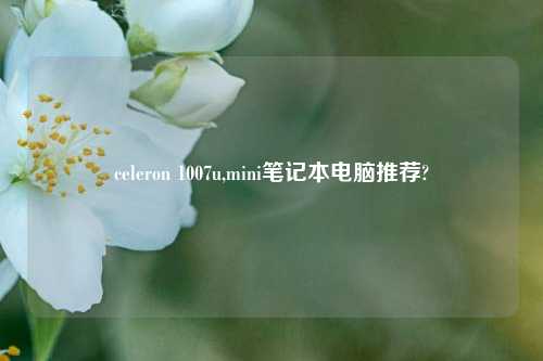 celeron 1007u,mini笔记本电脑推荐?