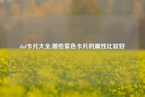 dnf卡片大全,哪些紫色卡片的属性比较好