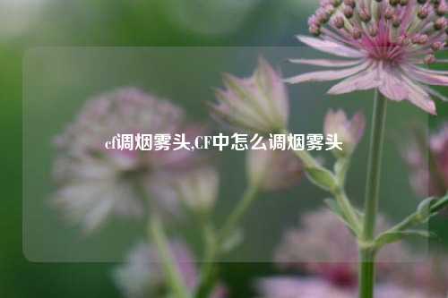 cf调烟雾头,CF中怎么调烟雾头