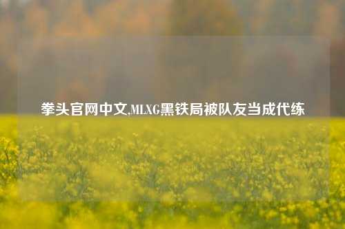 拳头官网中文,MLXG黑铁局被队友当成代练