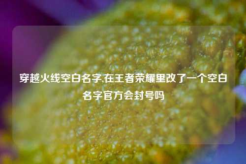 穿越火线空白名字,在王者荣耀里改了一个空白名字官方会封号吗