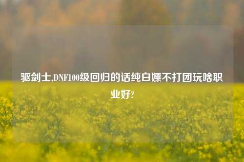 驱剑士,DNF100级回归的话纯白嫖不打团玩啥职业好?