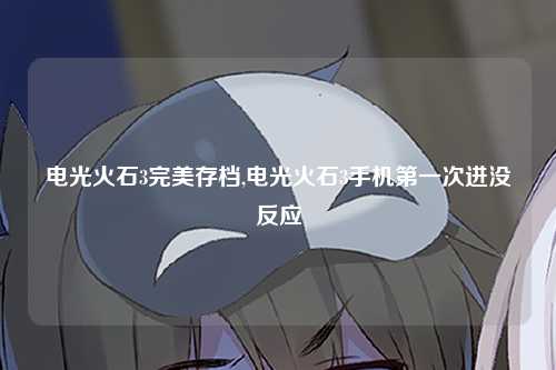 电光火石3完美存档,电光火石3手机第一次进没反应