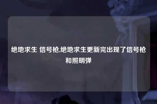 绝地求生 信号枪,绝地求生更新完出现了信号枪和照明弹