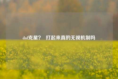 dnf克星？  打起来真的无视机制吗