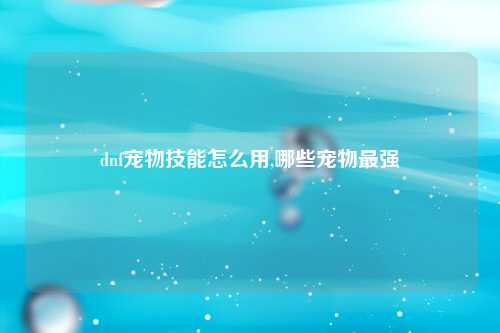 dnf宠物技能怎么用,哪些宠物最强