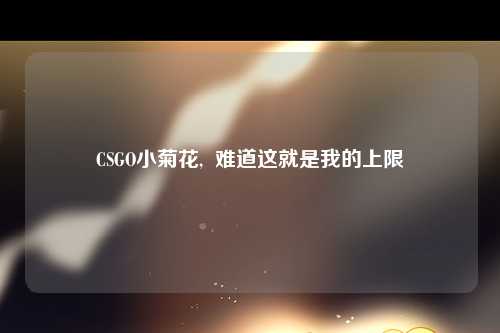 CSGO小菊花,  难道这就是我的上限