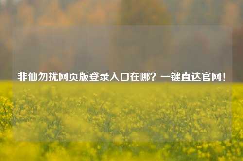 非仙勿扰网页版登录入口在哪？一键直达官网！