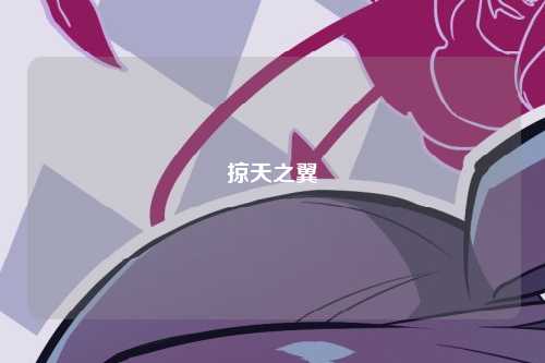 掠天之翼