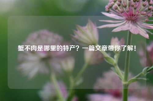 蟹不肉是哪里的特产？一篇文章带你了解！