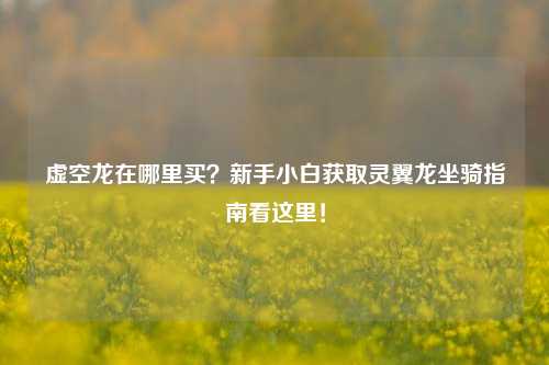 虚空龙在哪里买？新手小白获取灵翼龙坐骑指南看这里！