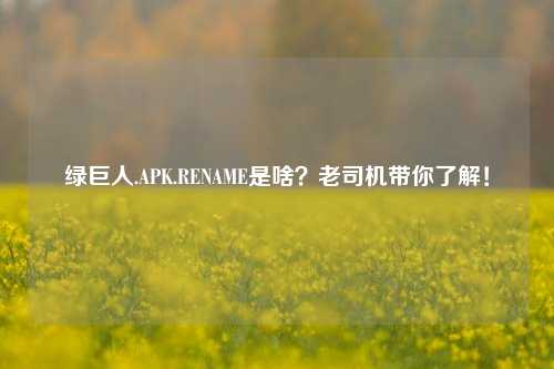 绿巨人.APK.RENAME是啥？老司机带你了解！