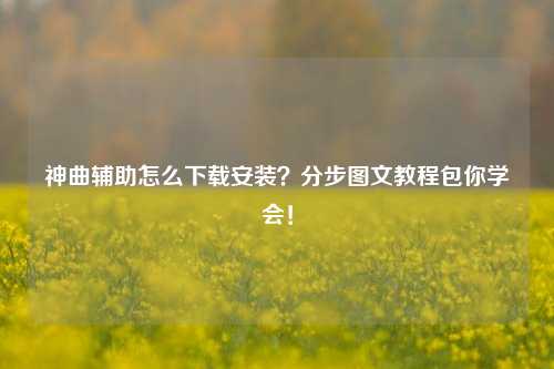 神曲辅助怎么下载安装？分步图文教程包你学会！