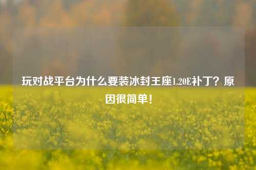 玩对战平台为什么要装冰封王座1.20E补丁？原因很简单！