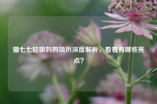 猫七七姑娘妈妈简历深度解析，看看有哪些亮点？