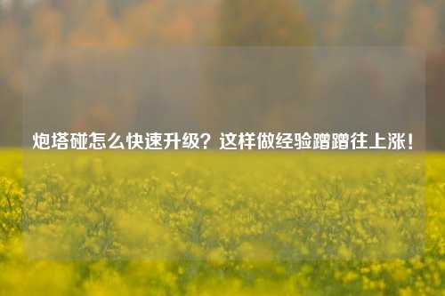 炮塔碰怎么快速升级？这样做经验蹭蹭往上涨！