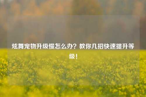 炫舞宠物升级慢怎么办？教你几招快速提升等级！