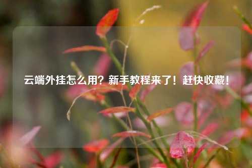 云端外挂怎么用？新手教程来了！赶快收藏！